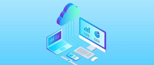 贝利云 赋能企业管理与出海，驶向数字化转型的蓝海